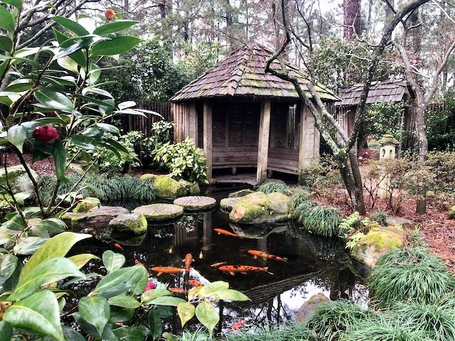 Pavilion in the Japanese Garden at Massee Lane Gardens | atlantaandbeyond.com