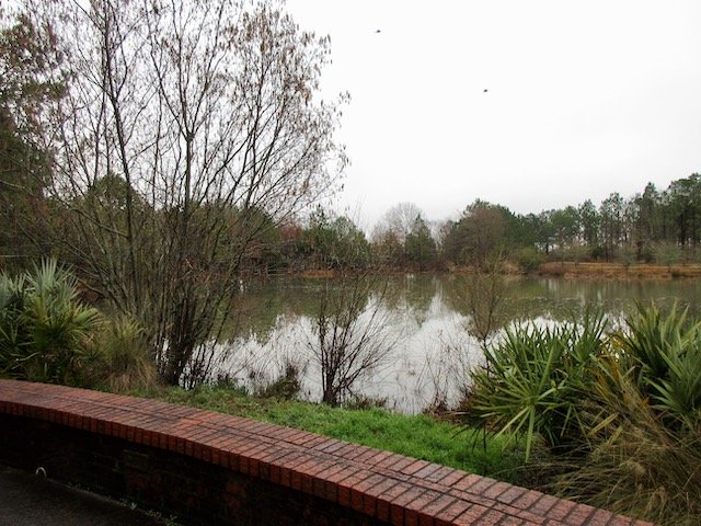 Go for a hike around the lake at Massee Lane Gardens | atlantaandbeyond.com