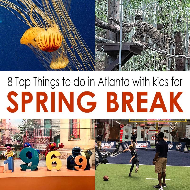 8 Most Fun Things to do in Atlanta with Kids for Spring Break | atlantaandbeyond.com