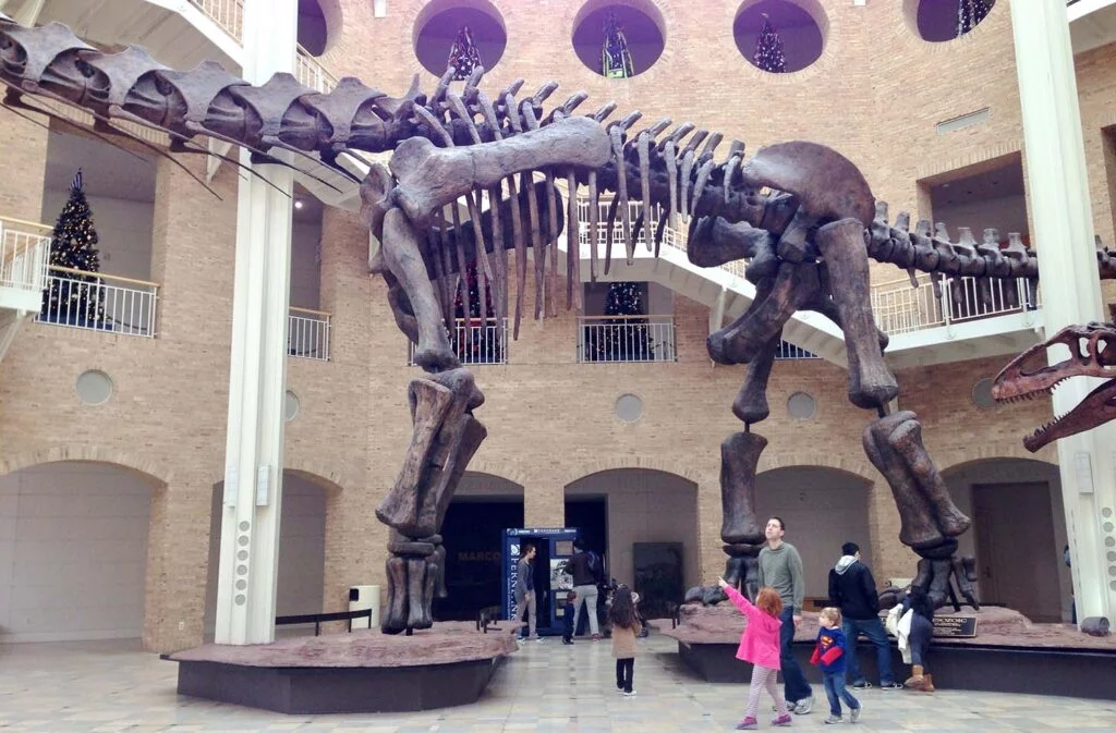 Dinosaurs at Atlanta's Fernbank Museum of Natural History | atlantaandbeyond.com