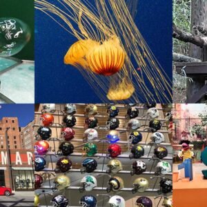 Atlanta's Best Things to do with Little Kids Photo Collage | atlantaandbeyond.com