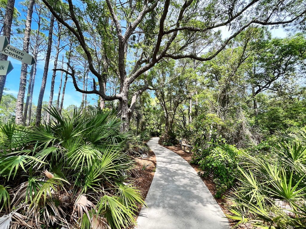 Boardwalk at Apalachicola National Estuarine Research Reserve Nature Center | atlantaandbeyond.com