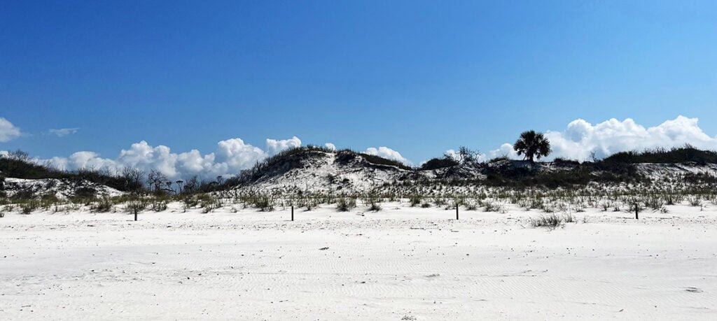 Sand Dunes at TH Stone Memorial St Joseph Peninsula State Park | atlantaandbeyond.com