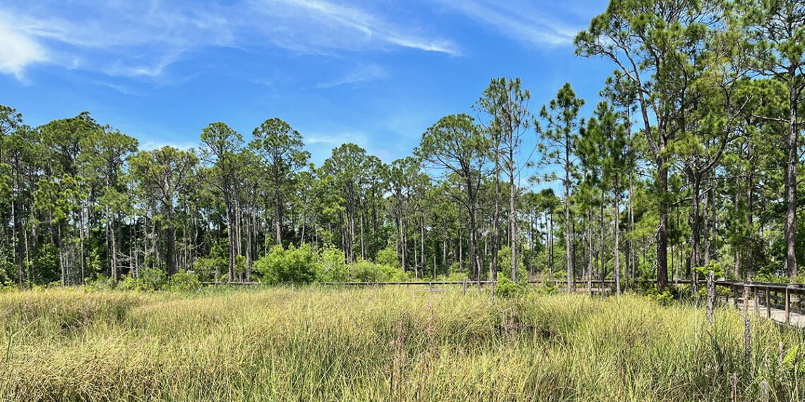 Nature Center at the Apalachicola National Estuarine Research Reserve | atlantaandbeyond.com