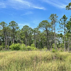 Nature Center at the Apalachicola National Estuarine Research Reserve | atlantaandbeyond.com