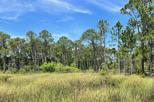 Nature Center at the Apalachicola National Estuarine Research Reserve | atlantaandbeyond.com