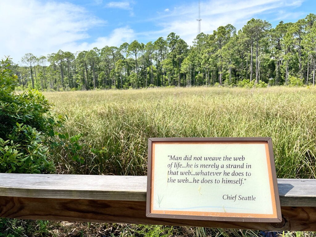 Inspirational quotes about nature along the boardwalk at the Apalachicola Estuarine Research Reserve | atlantaandbeyond.com