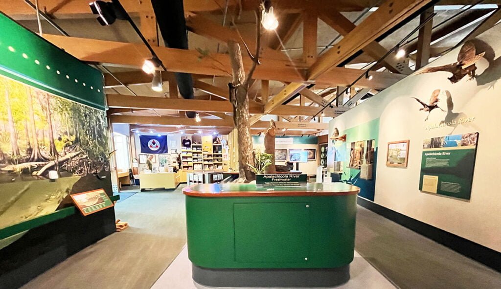 The interior of the Nature Center at the Apalachicola Estuarine Research Reserve | atlantaandbeyond.com