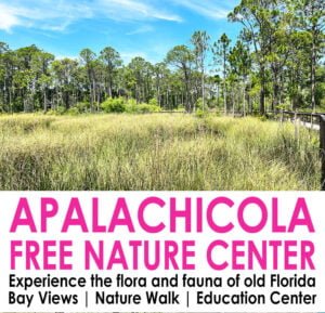 Free Nature Center in Apalachicola - great for families with kids | atlantaandbeyond.com