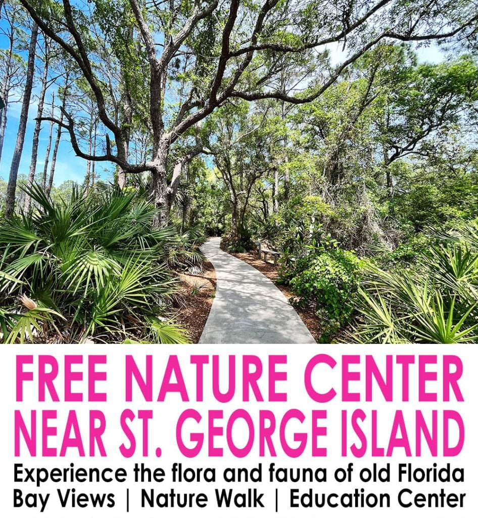Free Nature Center near St. George Island - great for families with kids | atlantaandbeyond.com