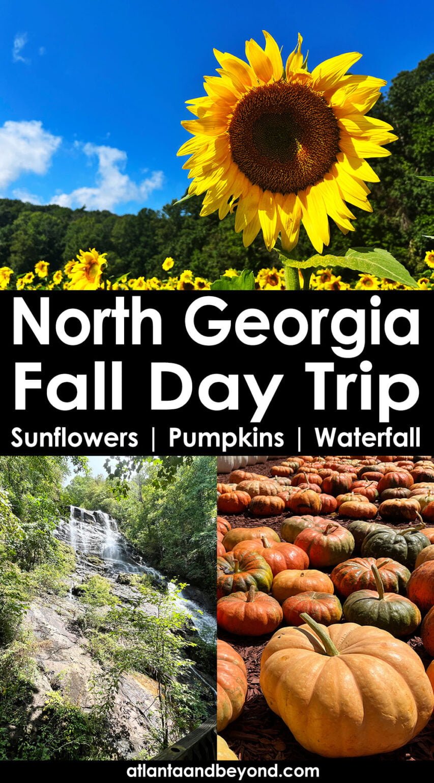 Fall Day Trip to North Georgia: Sunflowers, Pumpkins & Waterfalls ...