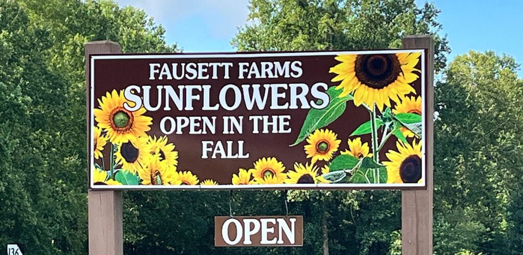 Fausett Farms in North Georgia | atlantaandbeyond.com