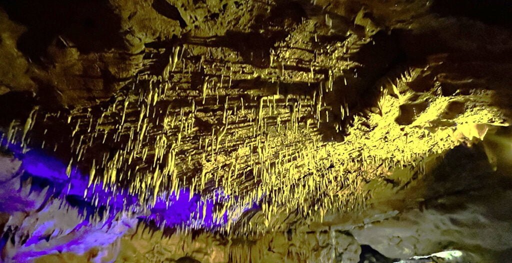 Soda Straw formations on the ceiling of the South America Room at Florida Caverns State Park | atlantaandbeyond.com