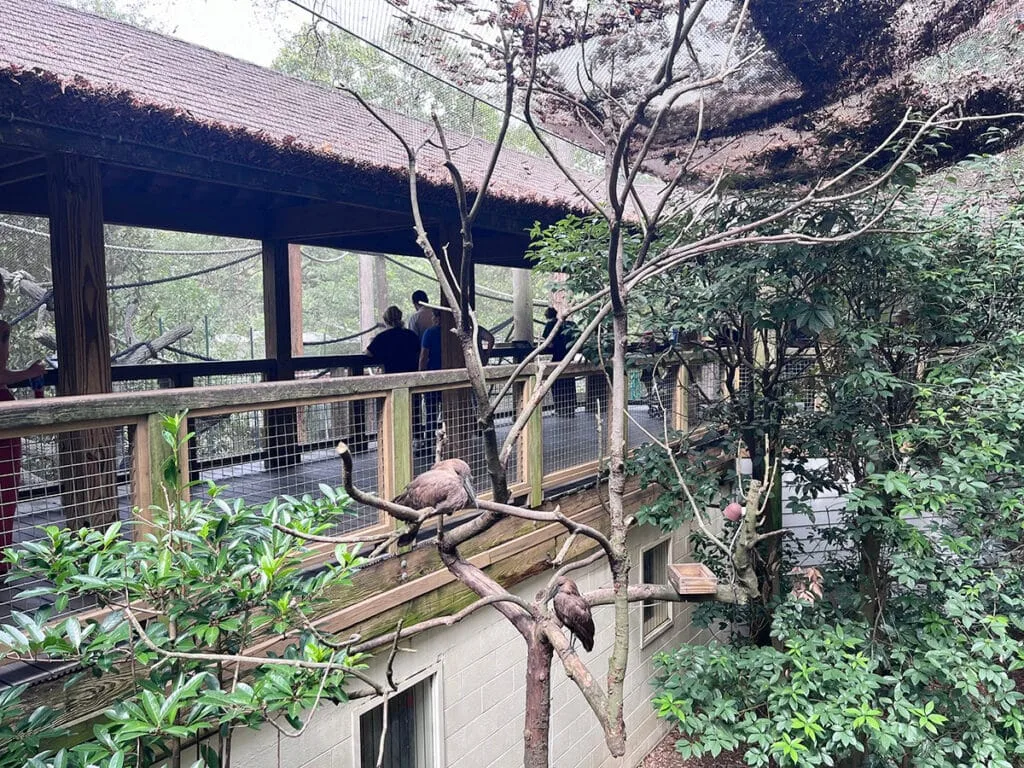 Inside the Living Treehouse | atlantaandbeyond.com