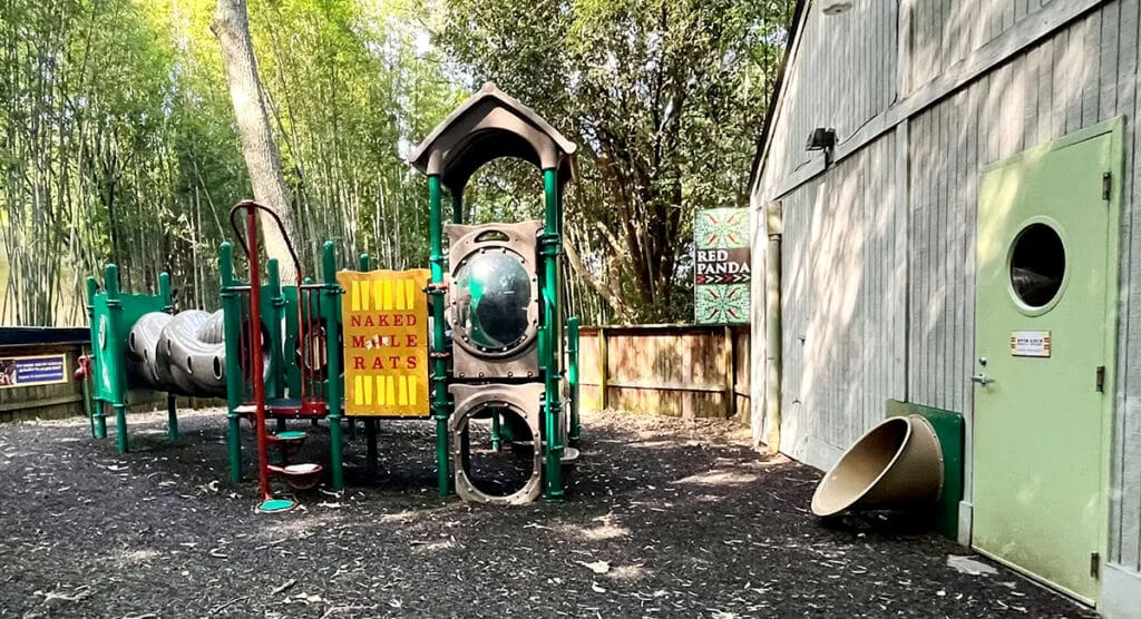 The Naked Mole Rat Playground at Zoo Atlanta | atlantaandbeyond.com