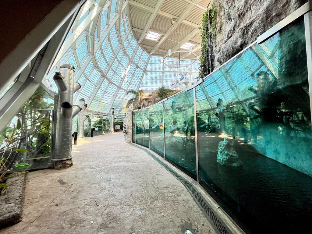 Amphibian & Reptile Experience | atlantaandbeyond.com
