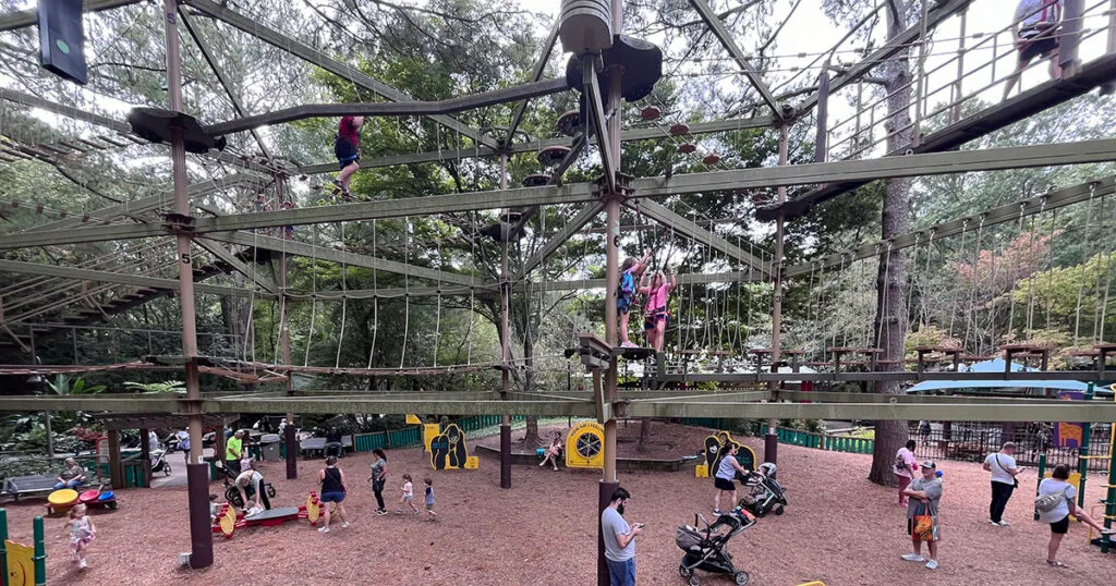 Tree Top Trail Ropes Course | atlantaandbeyond.com