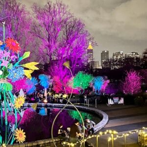 The Atlanta Skyline from the Botanical Gardens during Holiday Nights Garden Lights | atlantaandbeyond.com