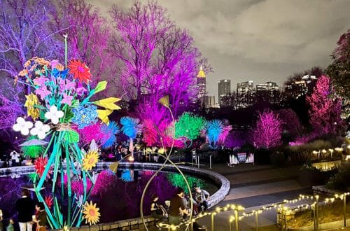The Atlanta Skyline from the Botanical Gardens during Holiday Nights Garden Lights | atlantaandbeyond.com