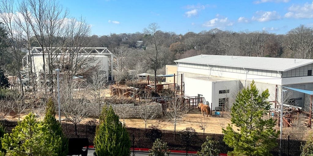 A Peek into Zoo Atlanta from the top of the Grant Park Gateway | atlantaandbeyond.com