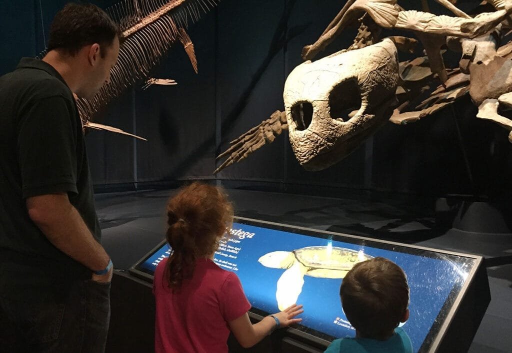 Explore the fossils at the Tellus Science Museum for More Fun Things to do in Atlanta with Little Kids | atlantaandbeyond.com