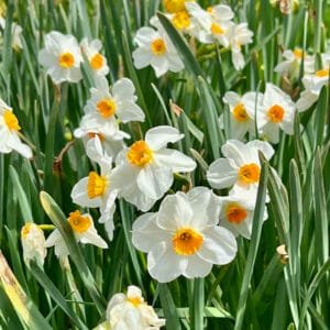 Atlanta and Beyond in March | atlantaandbeyond.com