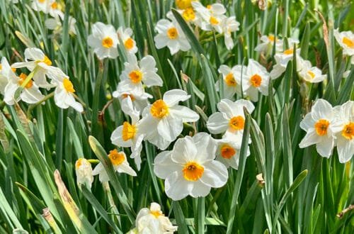 Atlanta and Beyond in March | atlantaandbeyond.com