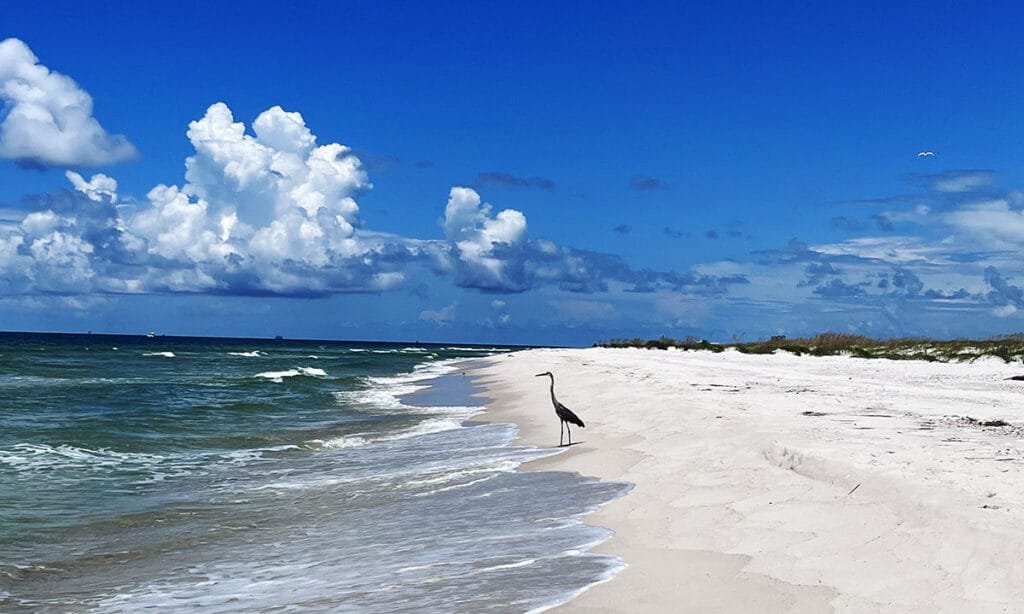 Beach at the Bon Secours National Wildlife Refuge in Gulf Shores | atlantaandbeyond.com