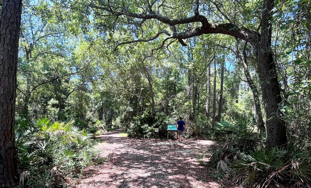 Trail at the Bon Secours National Wildlife Refuge in Gulf Shores | atlantaandbeyond.com
