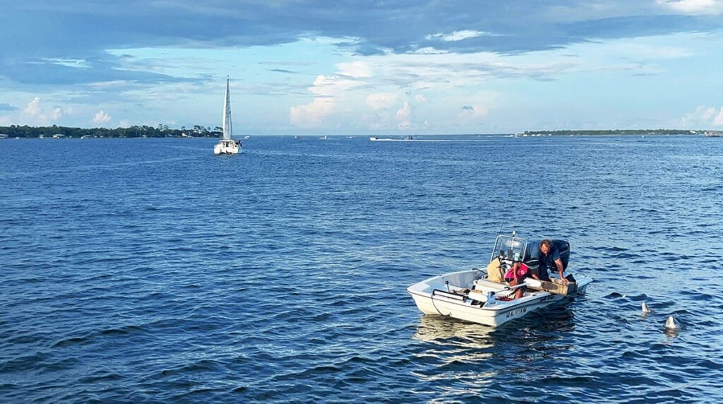 Sunset Dolphin Cruise in Orange Beach | atlantaandbeyond.com
