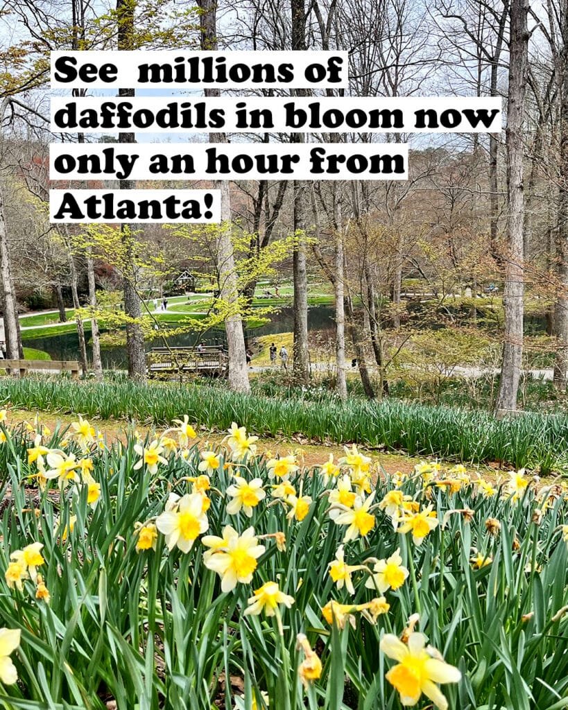 Your guide to visiting Gibbs Gardens | atlantaandbeyond.com