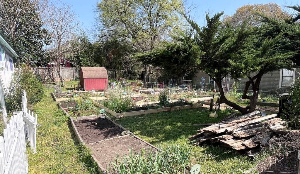 The Cabbaegtown Community Garden | atlantaandbeyond.com