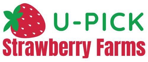 U-Pick Strawberry Farms in the metro Atlanta area | atlantaandbeyond.com