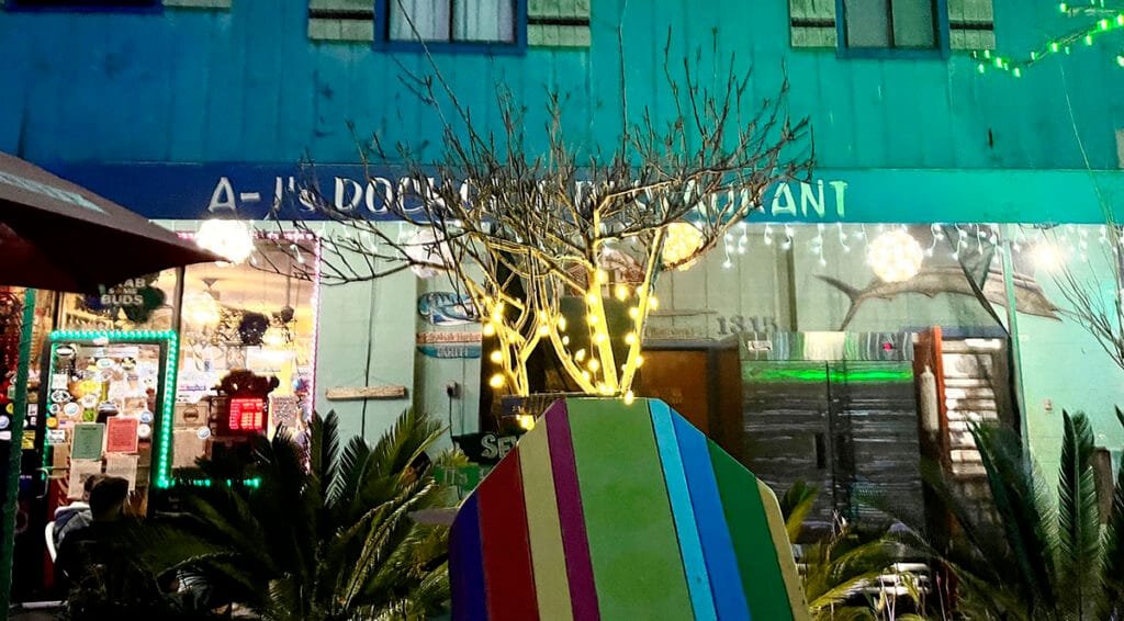 Dinner at AJ's Dockside Restaurant on Tybee Island | atlantaandbeyond.com