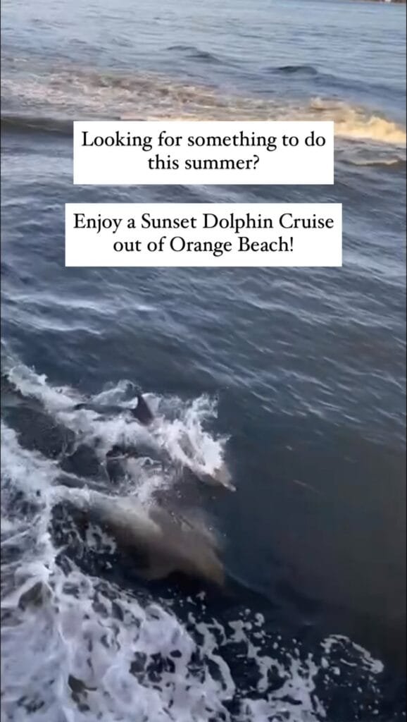 Dolphin Cruise in Orange Beach | atlantaandbeyond.com