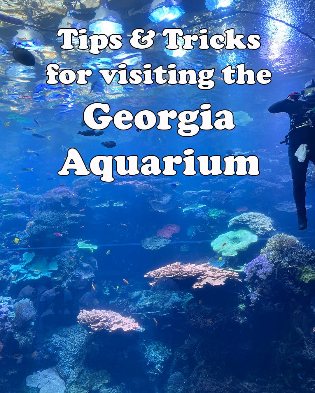 Georgia Aquarium Tips and Tricks plus How to Spend One Day in Atlanta from a Local | atlantaandbeyond.com
