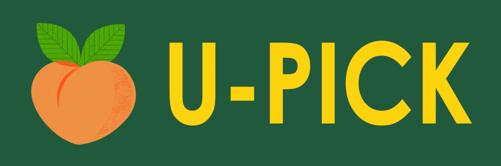 Things to do in Atlanta in July including U-Pick Peaches and Blueberries | atlantaandbeyond.com