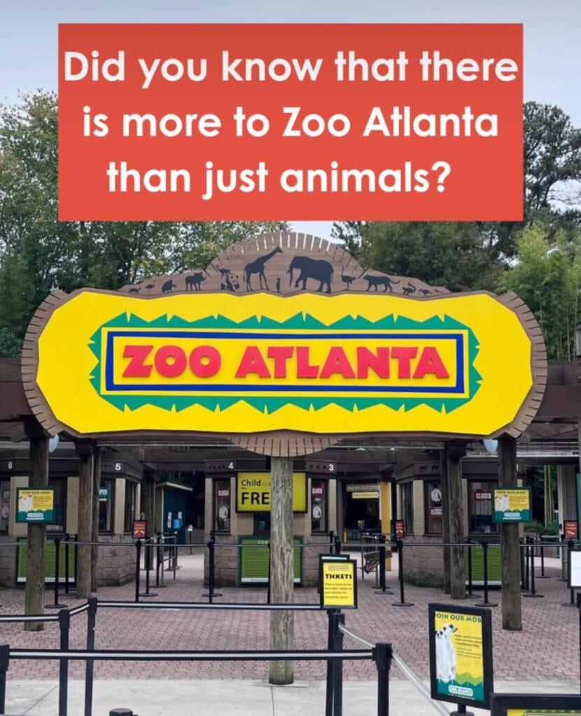 Zoo Atlanta | atlantaandbeyond.com