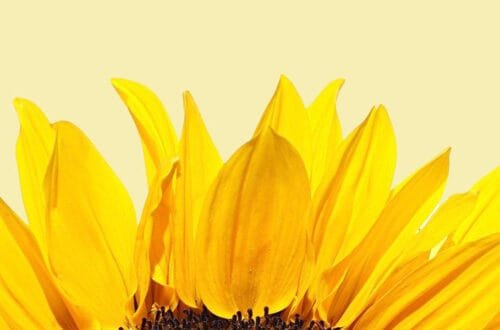 Things to do in the Atlanta metro area in August | atlantaandbeyond.com