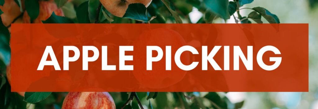 Apple Picking near Atlanta | atlantaandbeyond.com