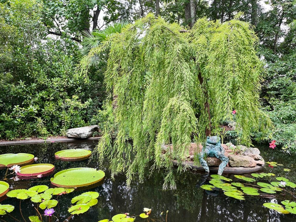 The Lou Glenn Children's Garden at the Atlanta Botanical Garden | atlantaandbeyond.com