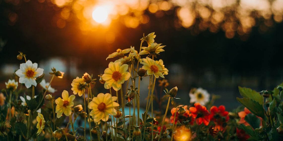 Things to do in September in Atlanta | atlantaandbeyond.com