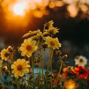 Things to do in September in Atlanta | atlantaandbeyond.com