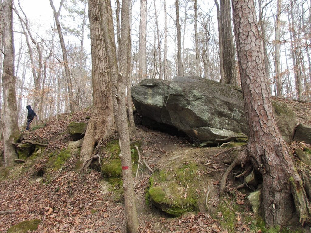 Boulder in Cochran Mill Park in Chattahoochee Hills, Georgia | atlantaandbeyond.com