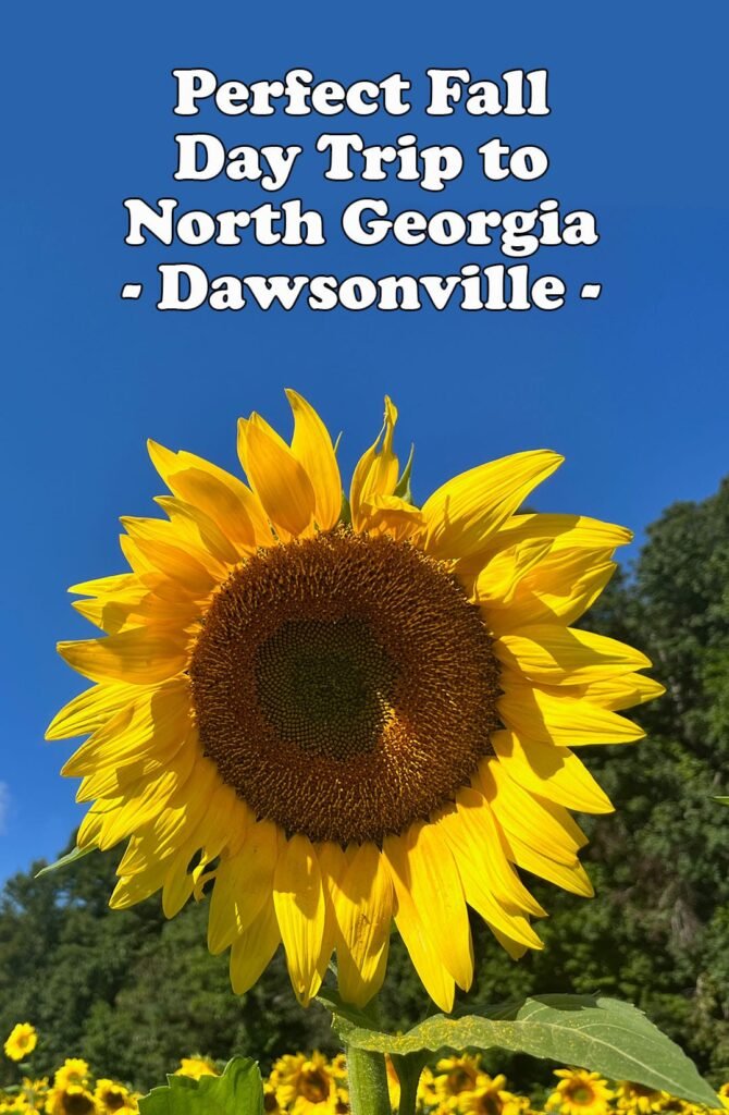 Itinerary for the Perfect Fall Day Trip to North Georgia | atlantaandbeyond.com