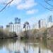 The Atlanta skyline from Piedmont Park | atlantaandbeyond.com