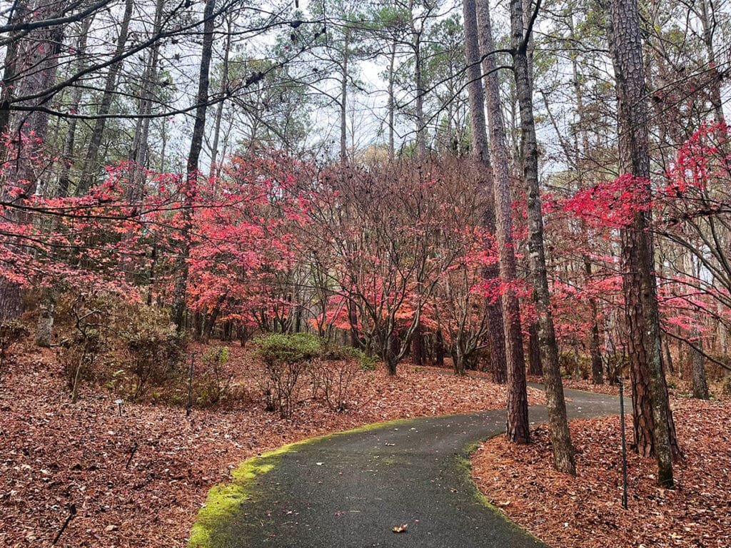 Fall color in the Azalea Bowl in Callaway Gardens | atlantaandbeyond.com
