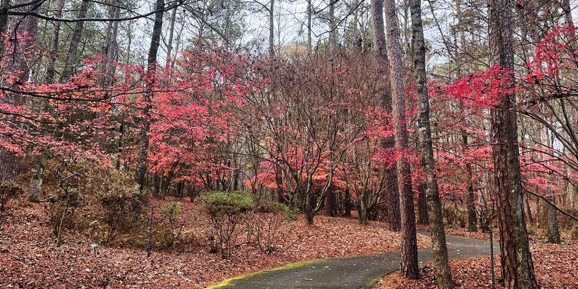 Stroll the Callaway Brothers Azalea Bowl with the free day pass that comes with your Fantasy in Lights ticket | atlantaandbeyond.com