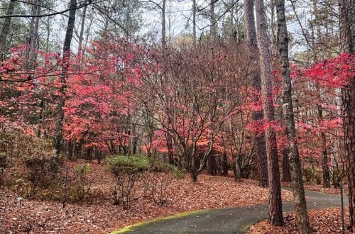 Stroll the Callaway Brothers Azalea Bowl with the free day pass that comes with your Fantasy in Lights ticket | atlantaandbeyond.com