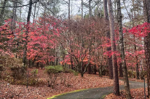 Stroll the Callaway Brothers Azalea Bowl with the free day pass that comes with your Fantasy in Lights ticket | atlantaandbeyond.com